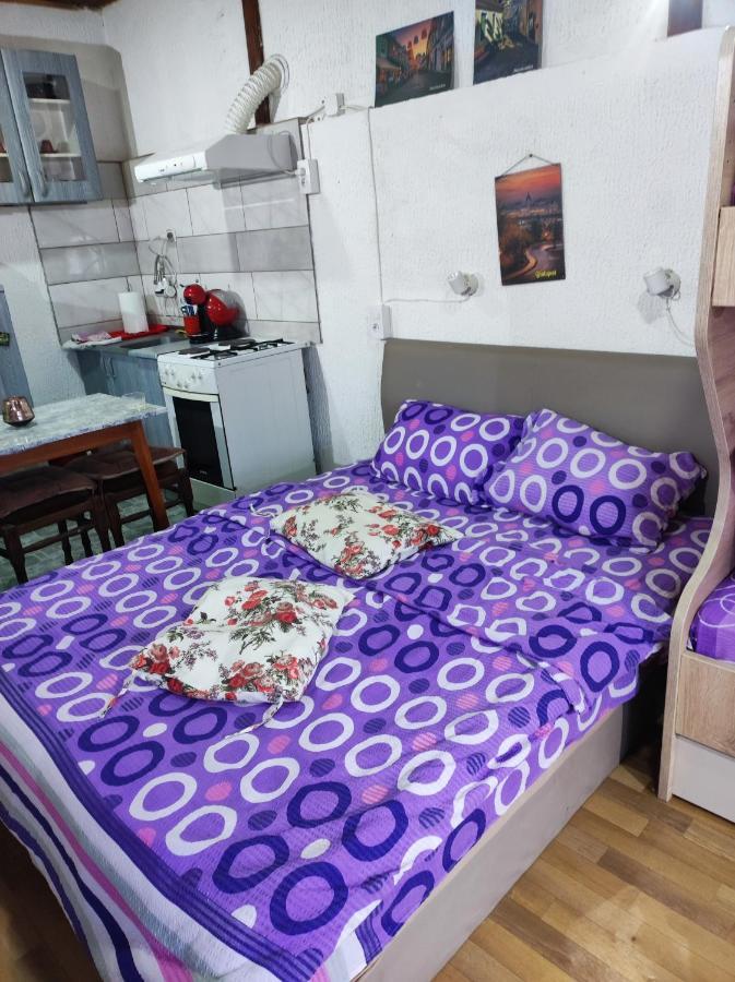 Ferienwohnung Prenociste Indija Hrvic Exterior foto